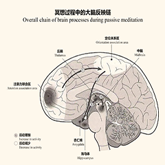 封面图片